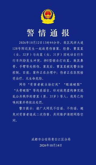 成都街头女子持U型锁狂砸致伤事件全景复盘：行车冲突演变与网络谣言粉碎深度剖析