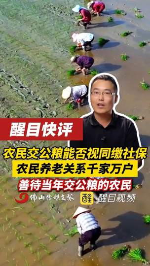 2026最新全景深度解析：农民交公粮能否视同缴社保全流程复盘、核心争议博弈与实用避坑指南