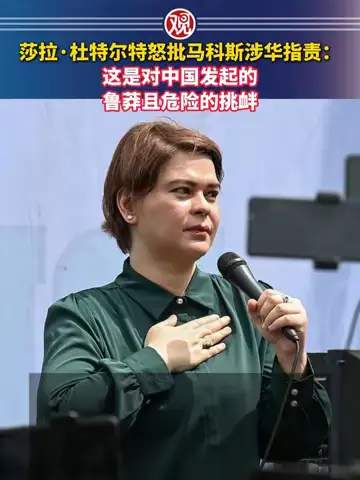 2026最新全景深度解析：菲律宾副总统怒批总统对华政策全流程复盘、地缘政治博弈与区域局势影响评估