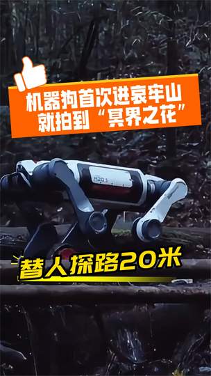 2026最新全景深度解析：机器狗首进哀牢山拍到“冥界之花”全流程复盘、具身智能科考价值与硬核技术突破