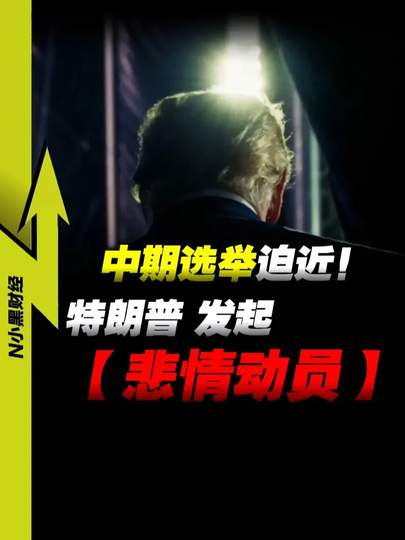 中期选举迫近特朗普发起“悲情动员”：国会权力博弈、执政民意承压与美国政坛深层极化透视