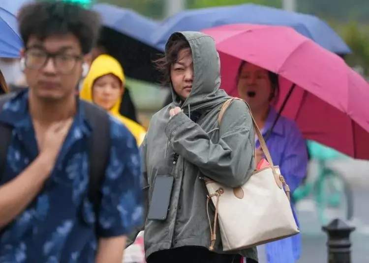 2026最新全景深度解析：为何说羽绒服生意已经变了？全流程复盘、核心博弈与行业破局指南